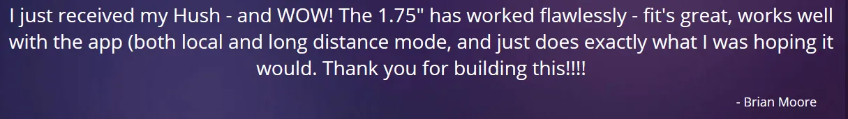 lovense hush user review