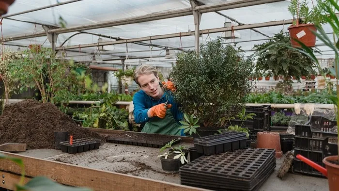 long distance relationships