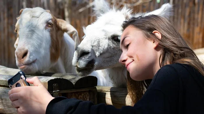 unique fun long-distance relationship gifts