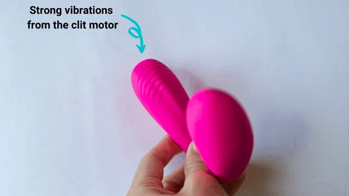 lovense dolce couples vibrator