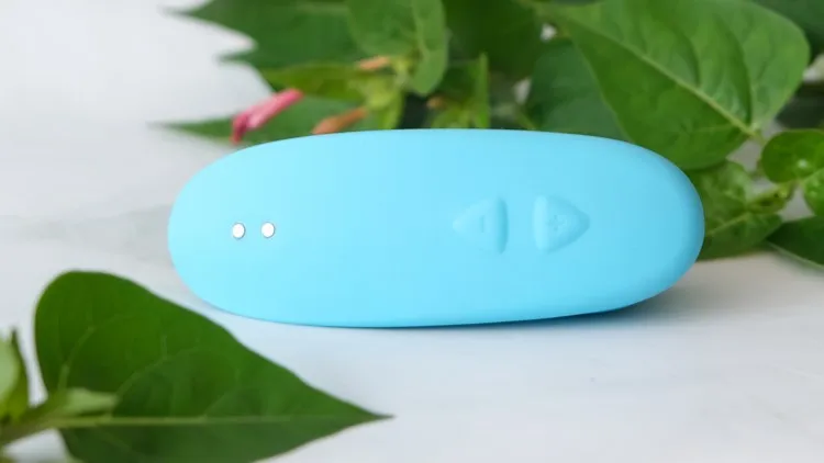 lovense tenera sex toy